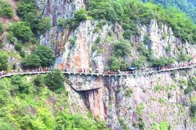 山西确定77家重点产业链“链核”企业